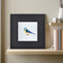 Vivid Pop of Colour Little Birdie Wall Decor